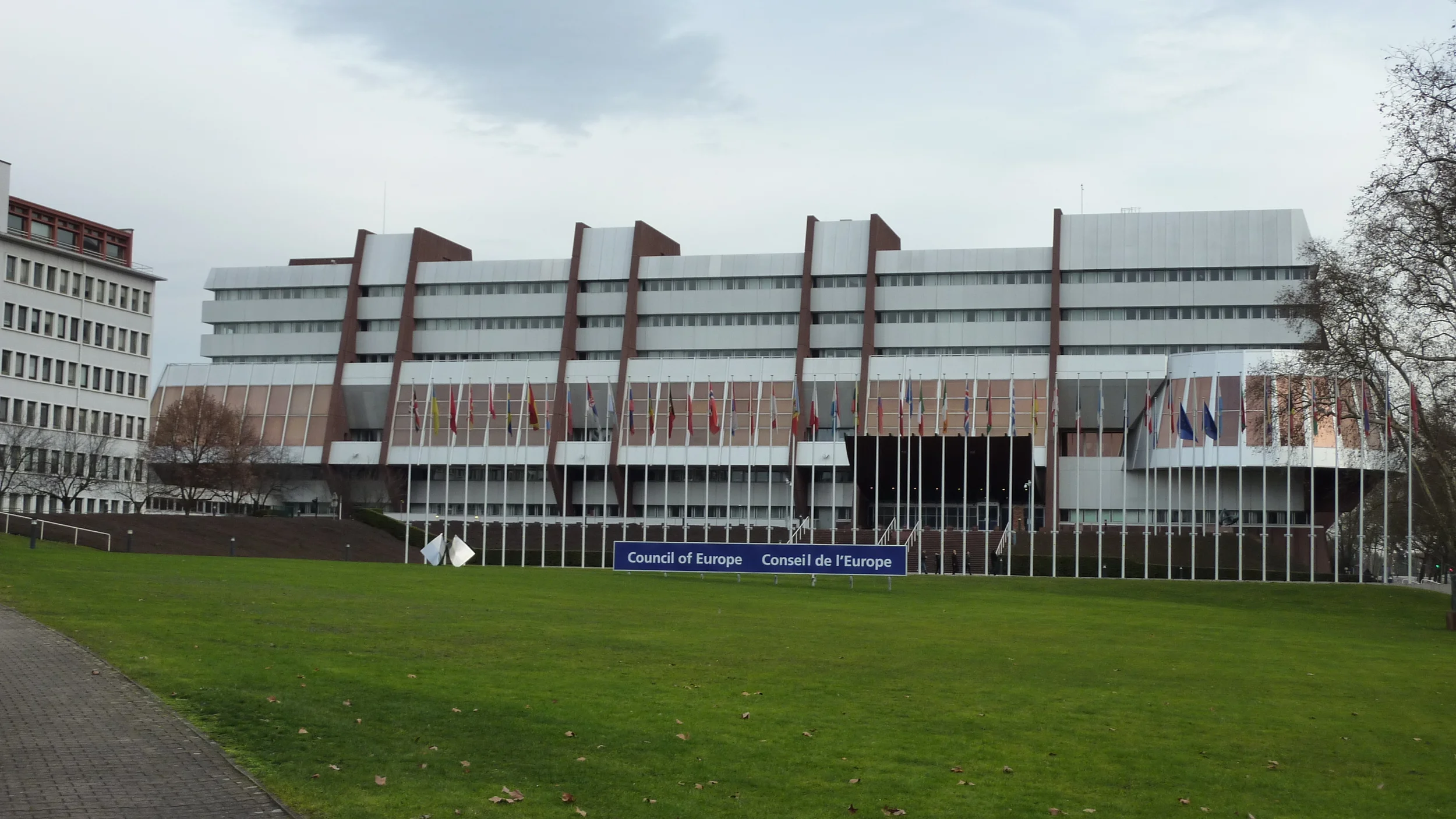 Council of Europe’s (COE) Committee of Experts on Terrorism (CODEXTER)