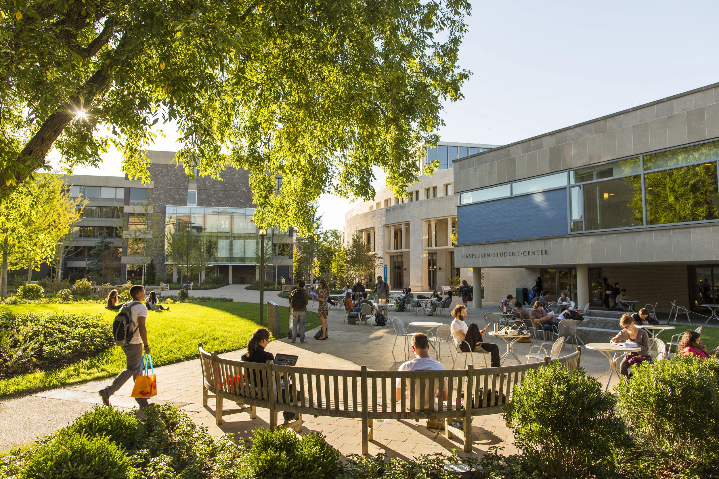 HLS PILAC Summer Internship Program 2015