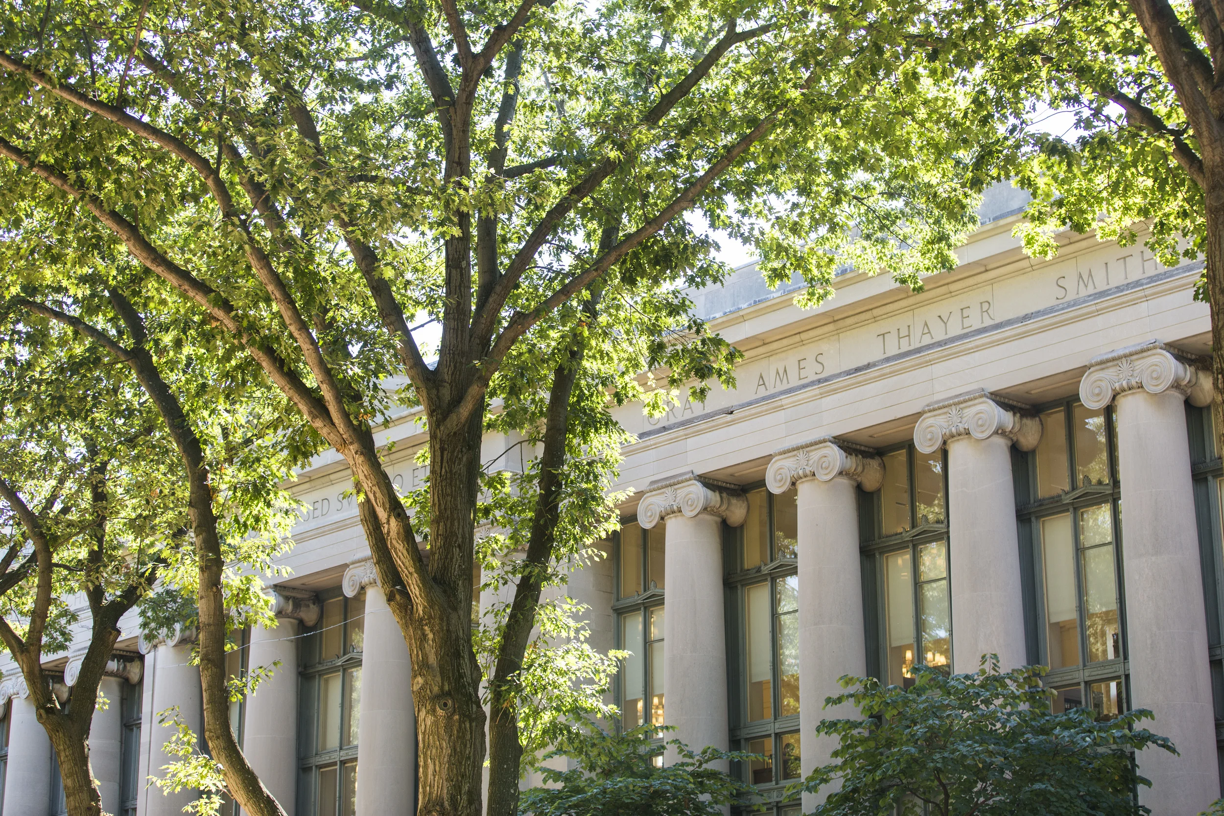 HLS PILAC Summer Internship Program 2016