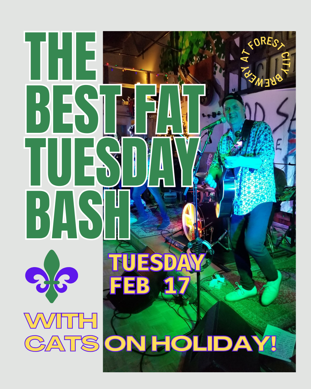 The Best Fat Tuesday Bash with Cats on Holiday