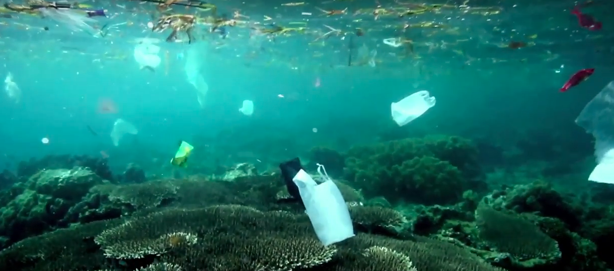 LE 7e CONTINENT : ENQUETE SUR LE PLASTIQUE DANS LES OCEANS