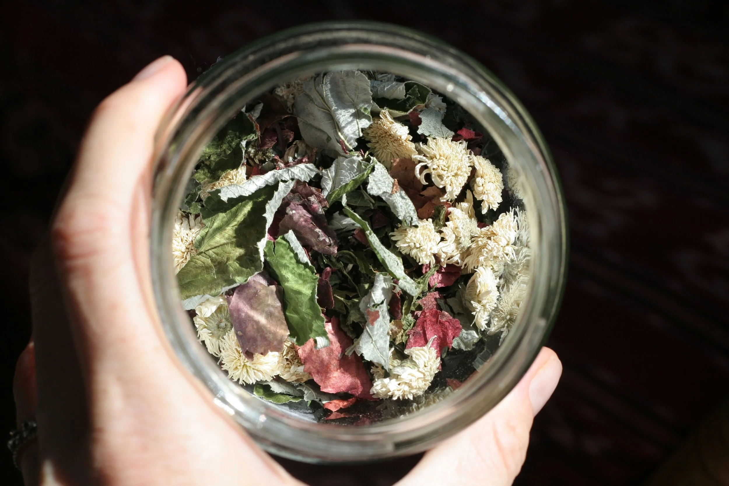 RECETTES DE TISANES POUR UNE GROSSESSE AU NATUREL
