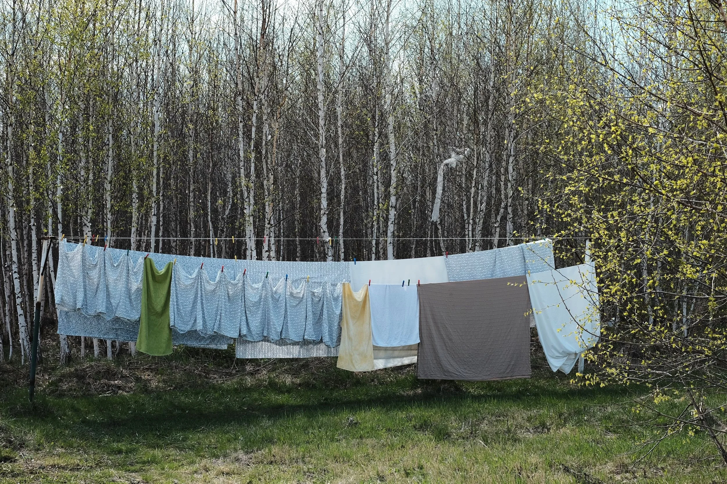 LESSIVE EN POUDRE