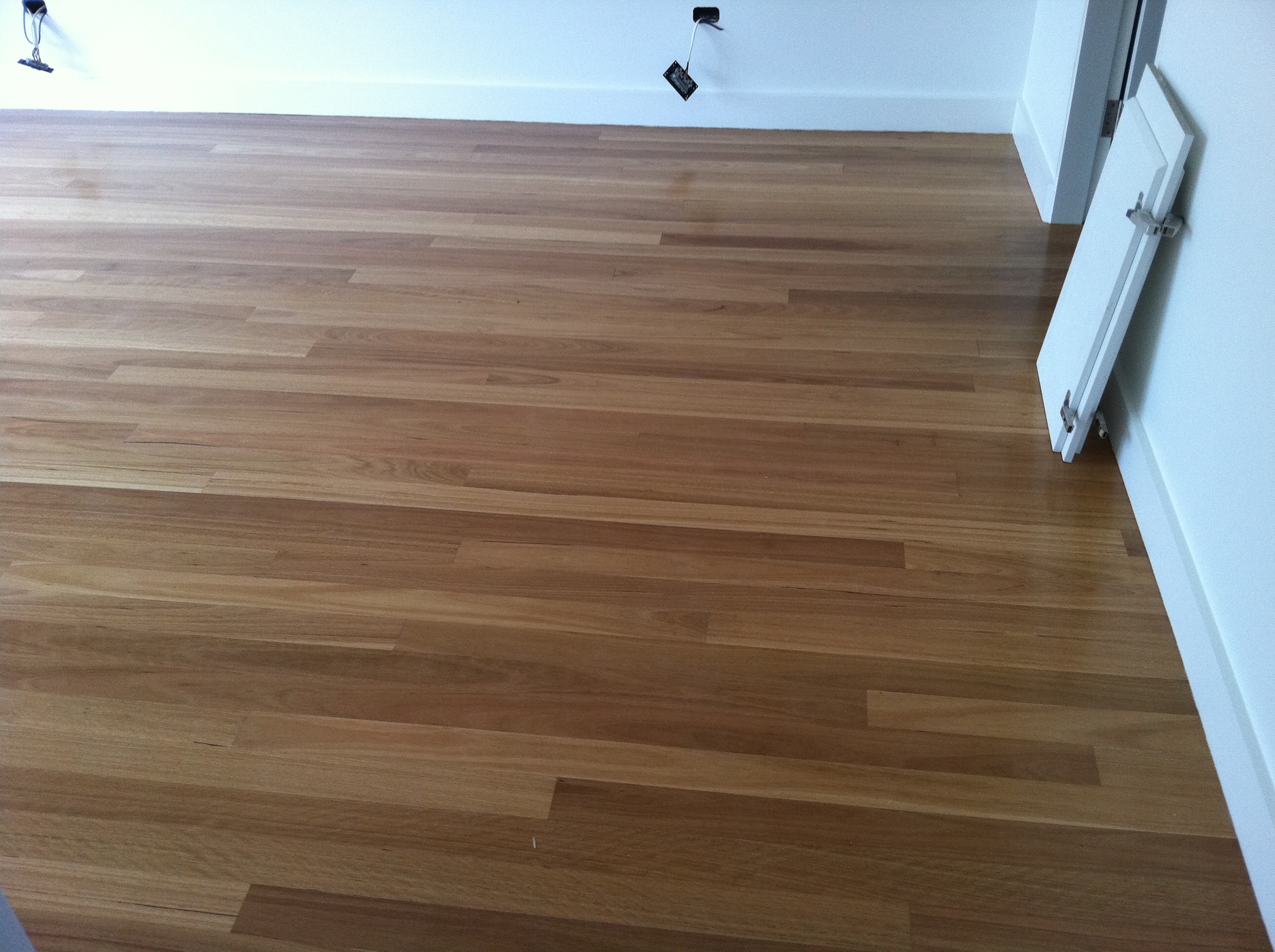 Blackbutt Floorboards