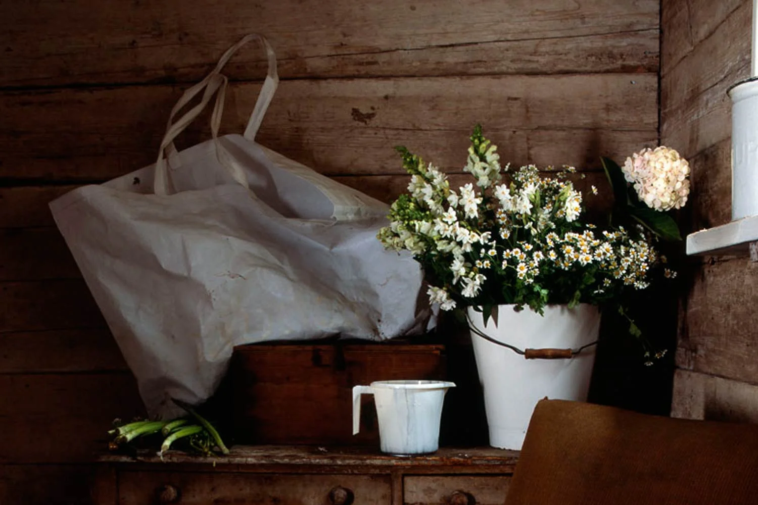 Client : Bloom Magazine Photographer : Beth Evans