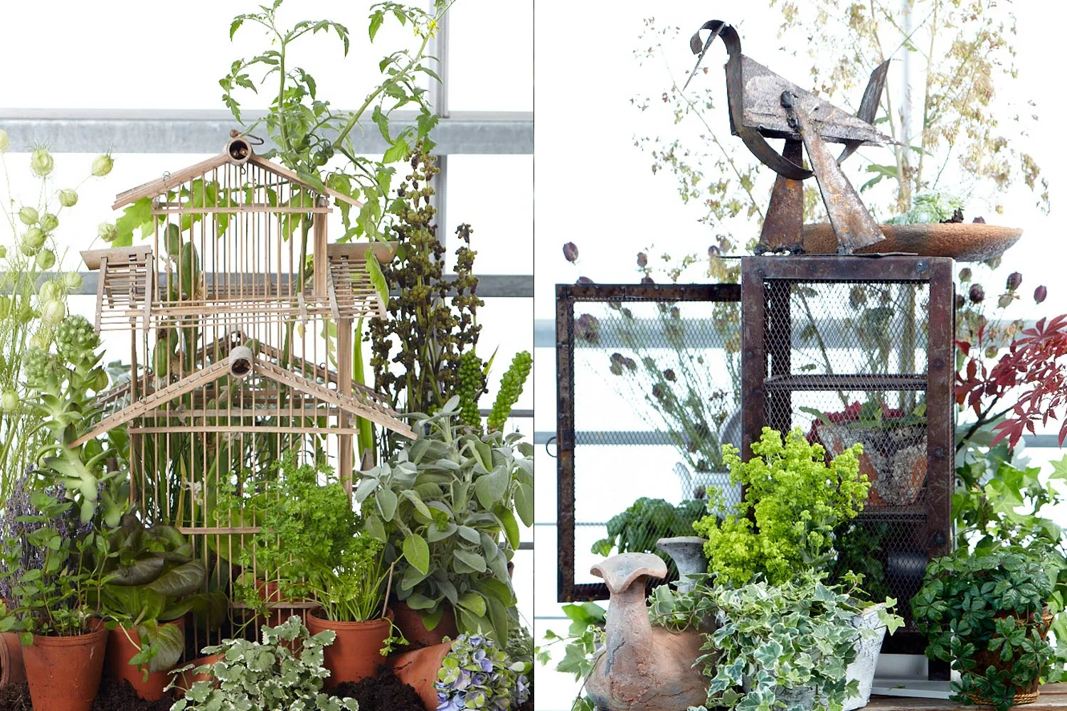 Client : Interflora France