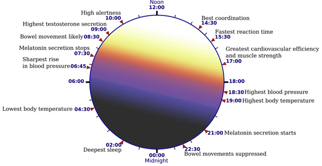 Image from Lexar Lighting