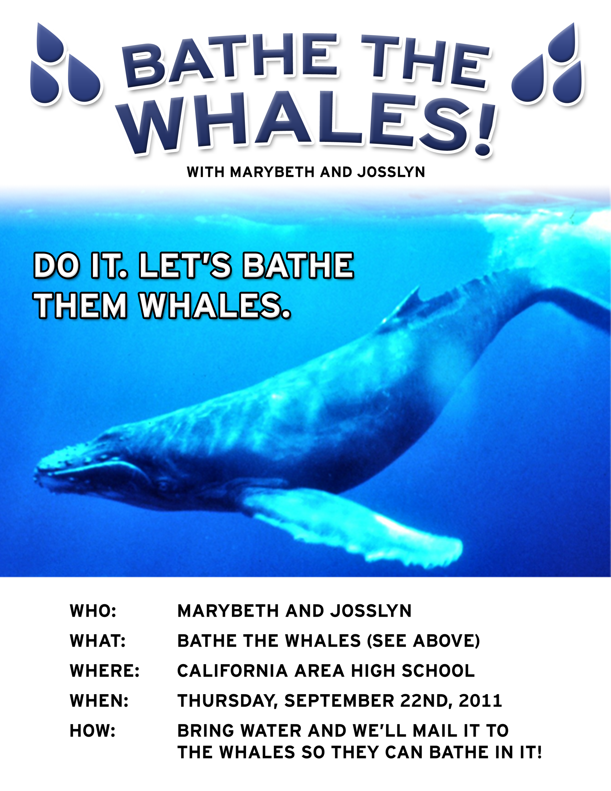 whalepaper.png