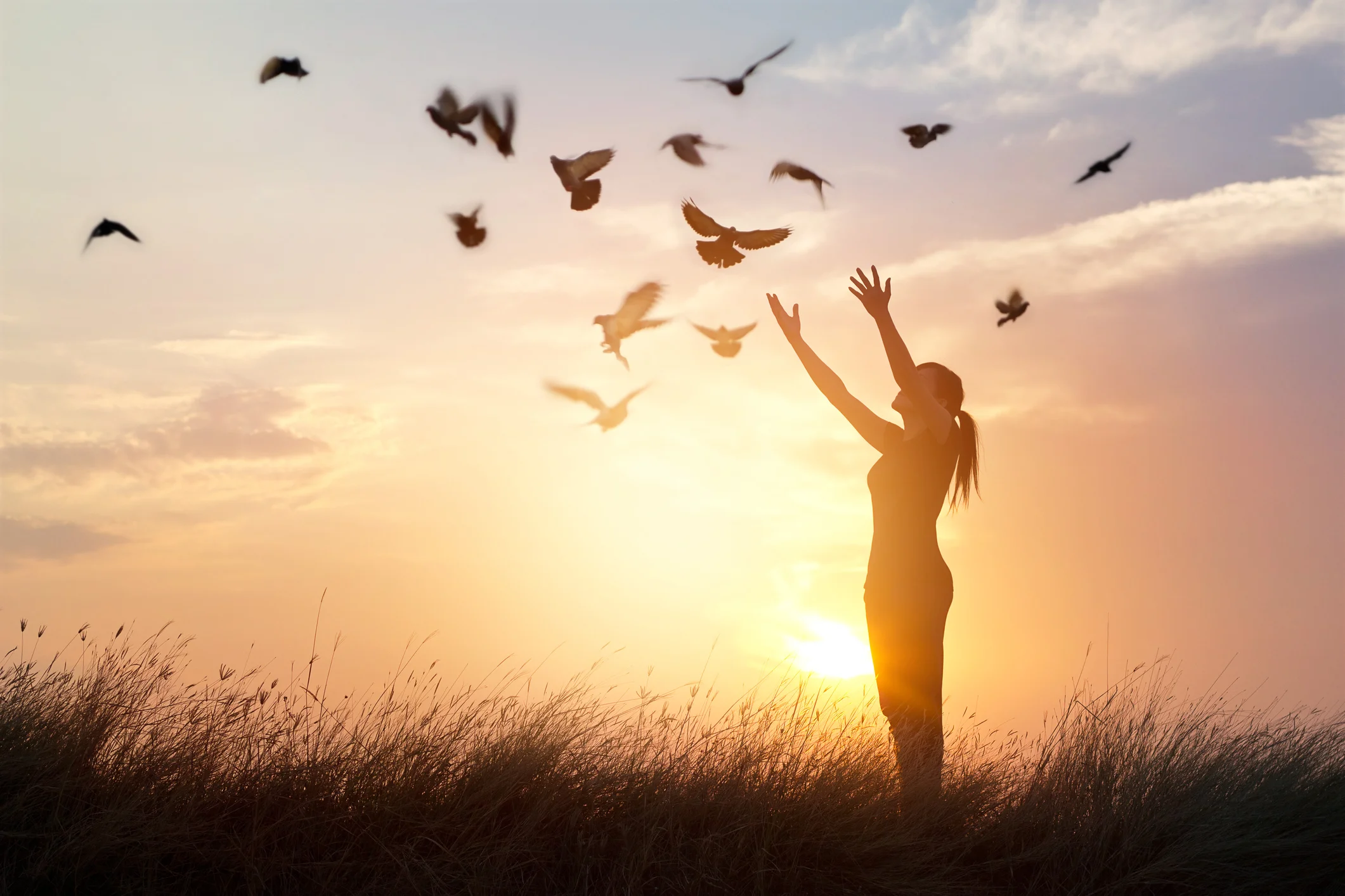 iStock-583818478.jpg