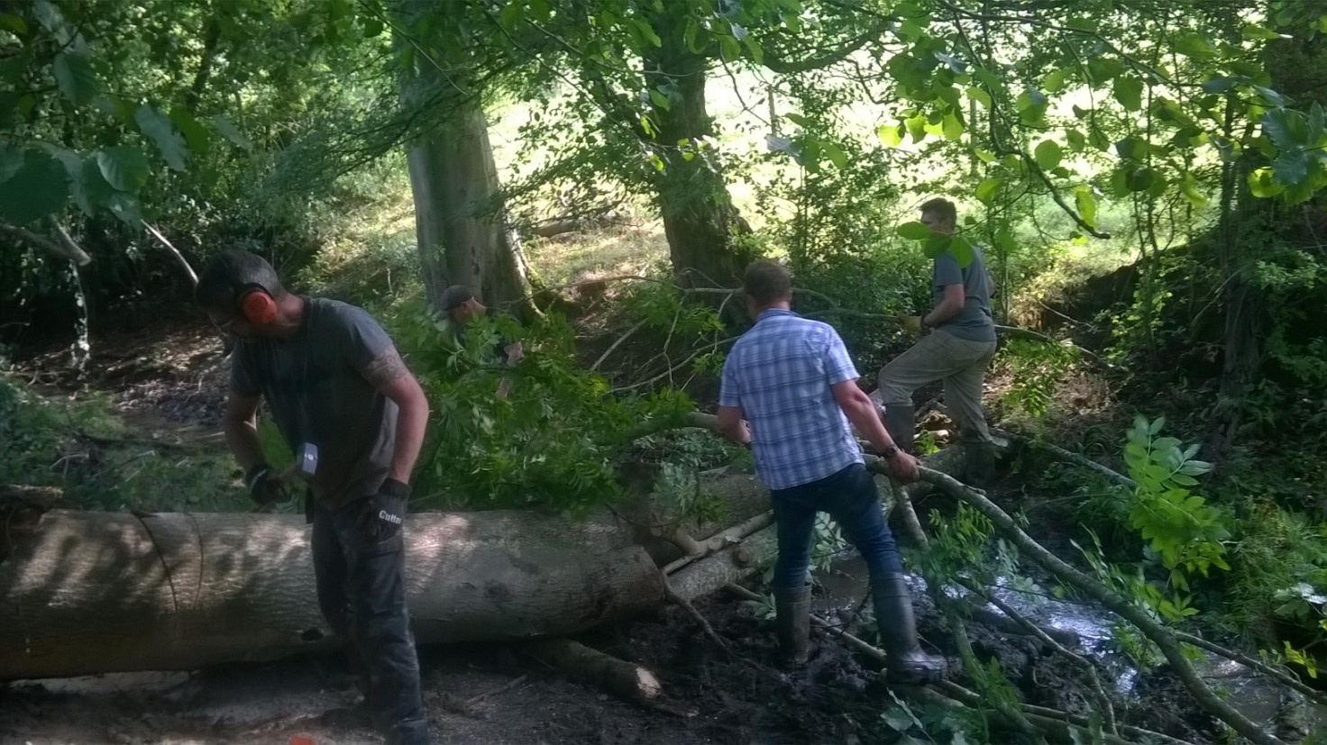 The owner & farmer, Phil and his workforce constructing a leaky dam made from a large Ash Tree that had fallen previously in the woodland.