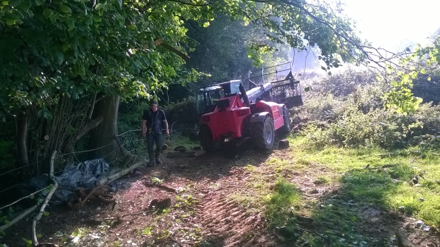 Making use of existing farm machinery to help move large sections of wood.
