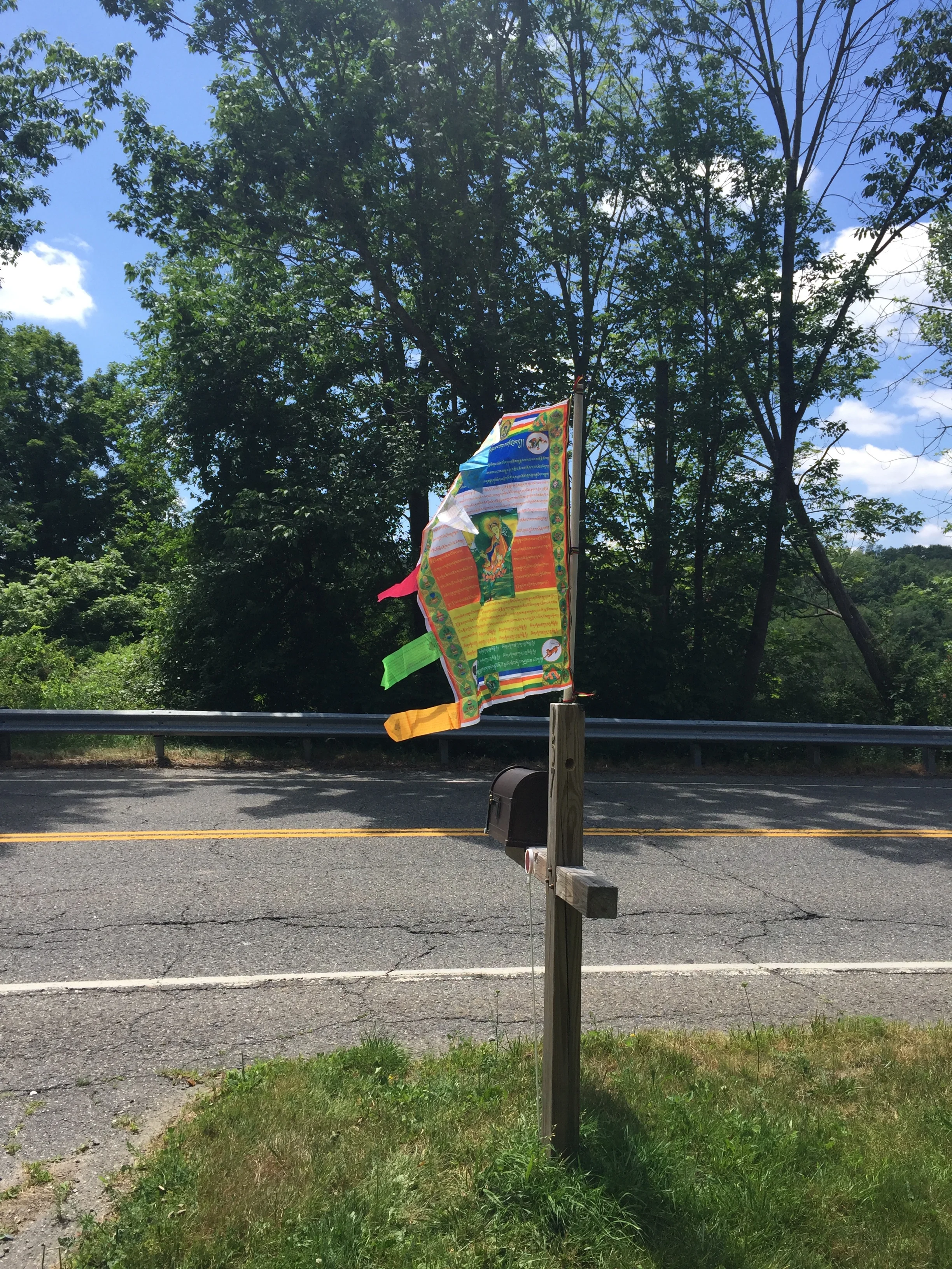 Mailbox_Flags.jpg