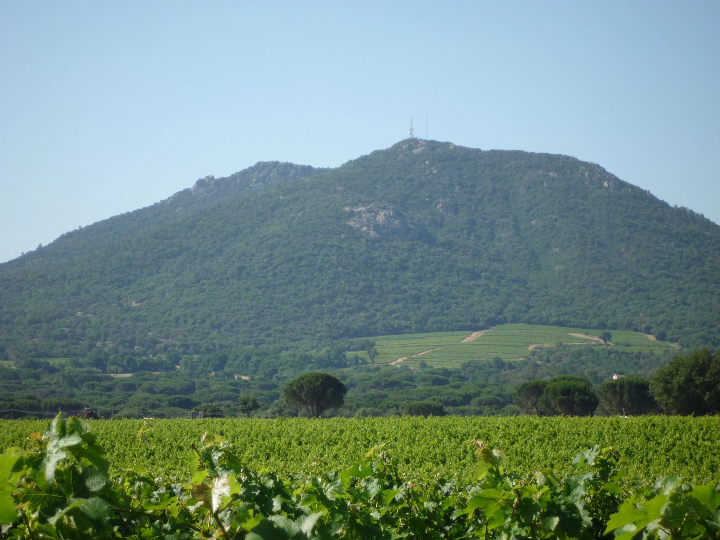 The Hill of Sainte Peire