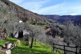 Borgo A mozzano.jfif