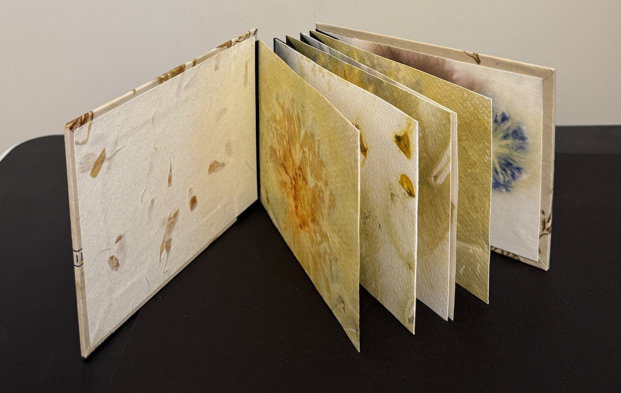 Accordion Book Art Show in Camden