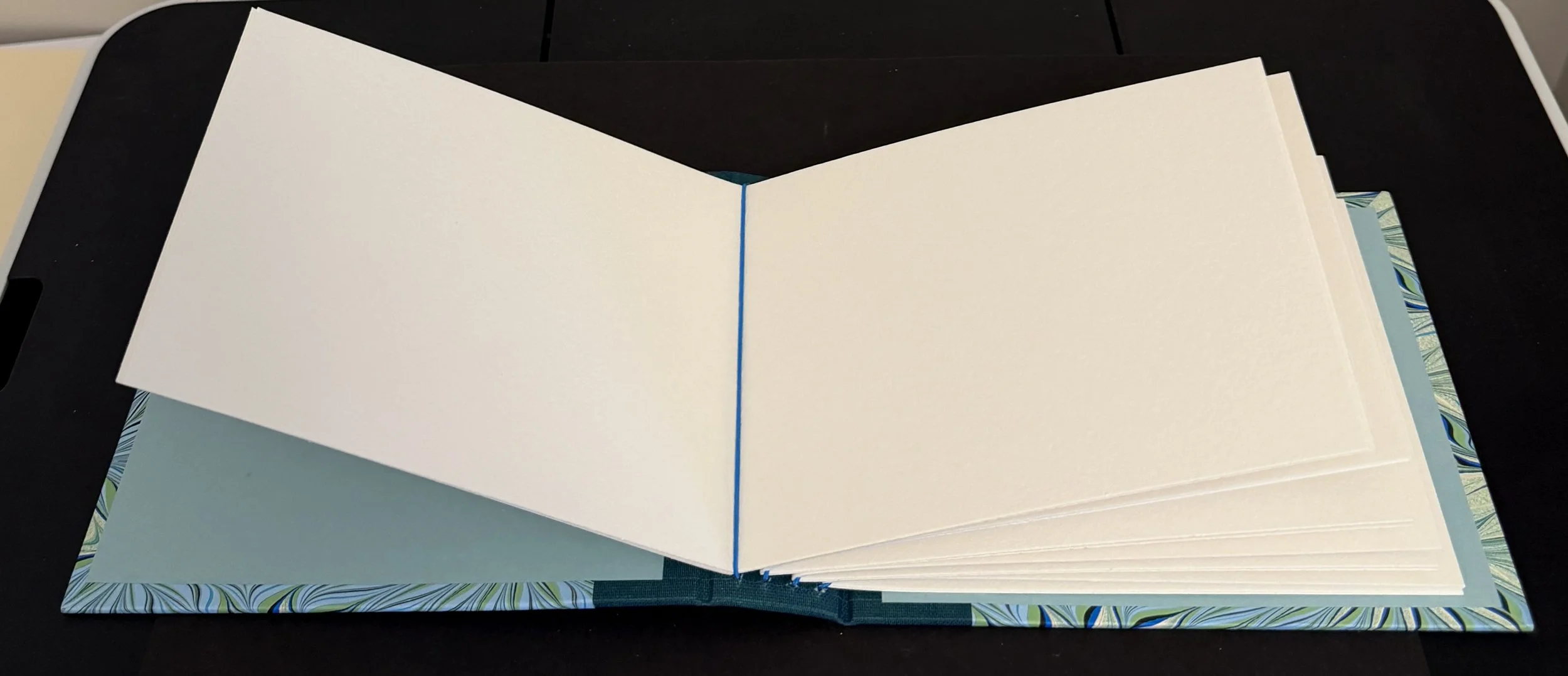 IMG_0413.jpg