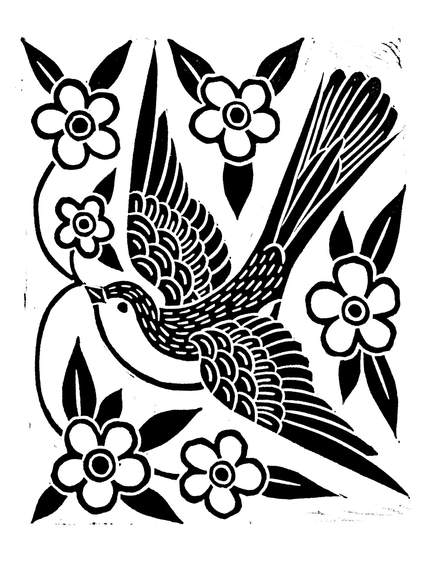 myraoh-bird2.jpg