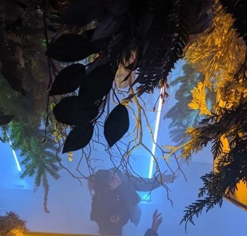 Adidas My Shelter pop-up