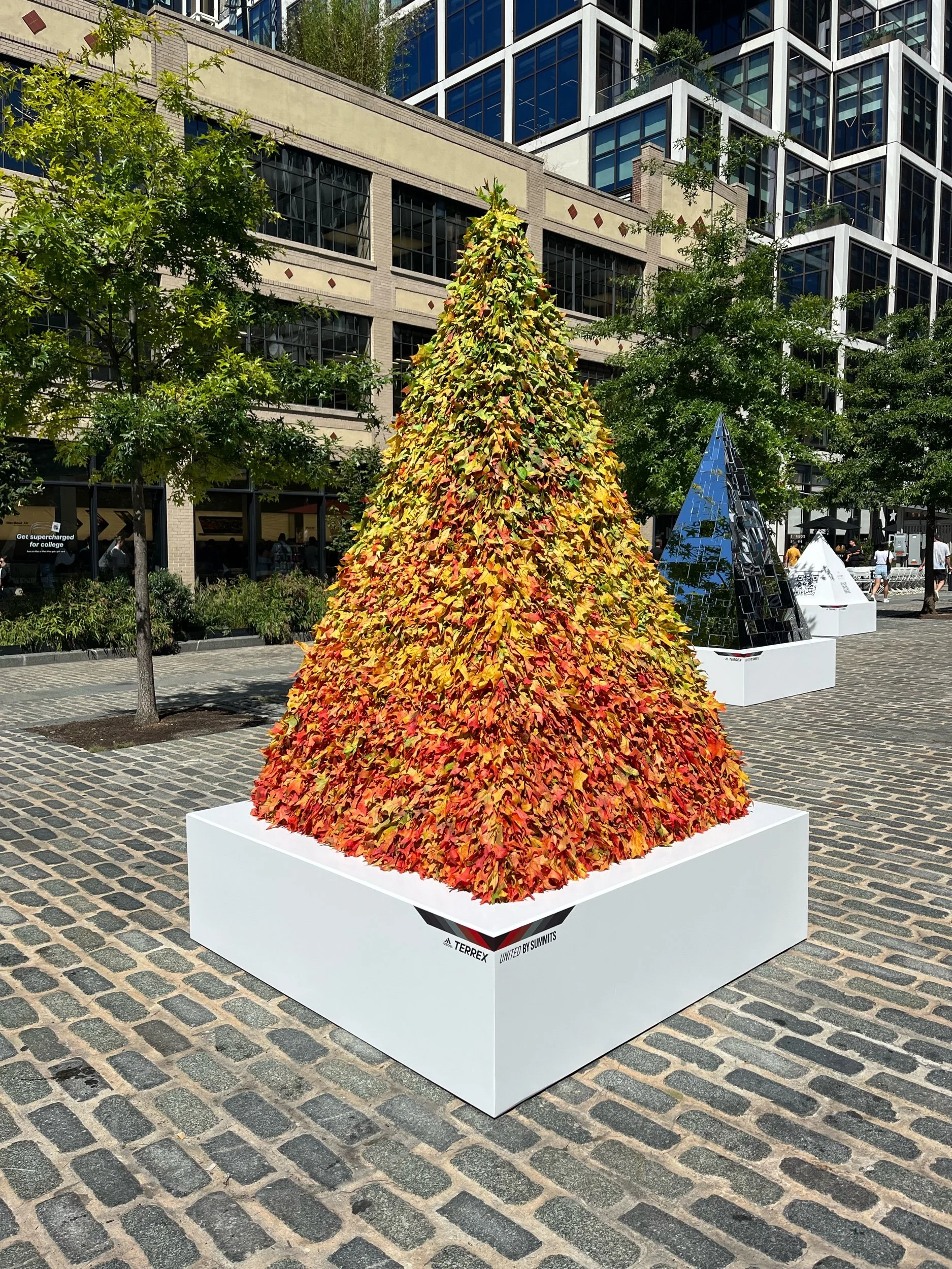 Adidas Terrex pop-up