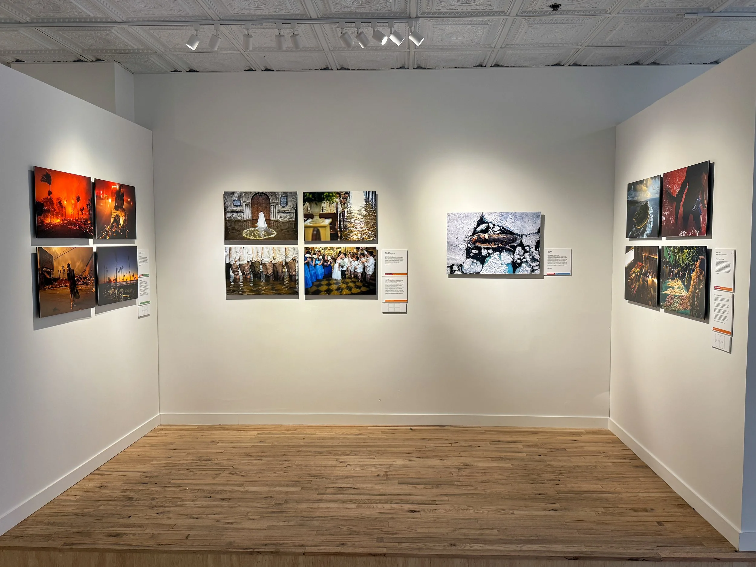 fuji-kina-10.jpg
