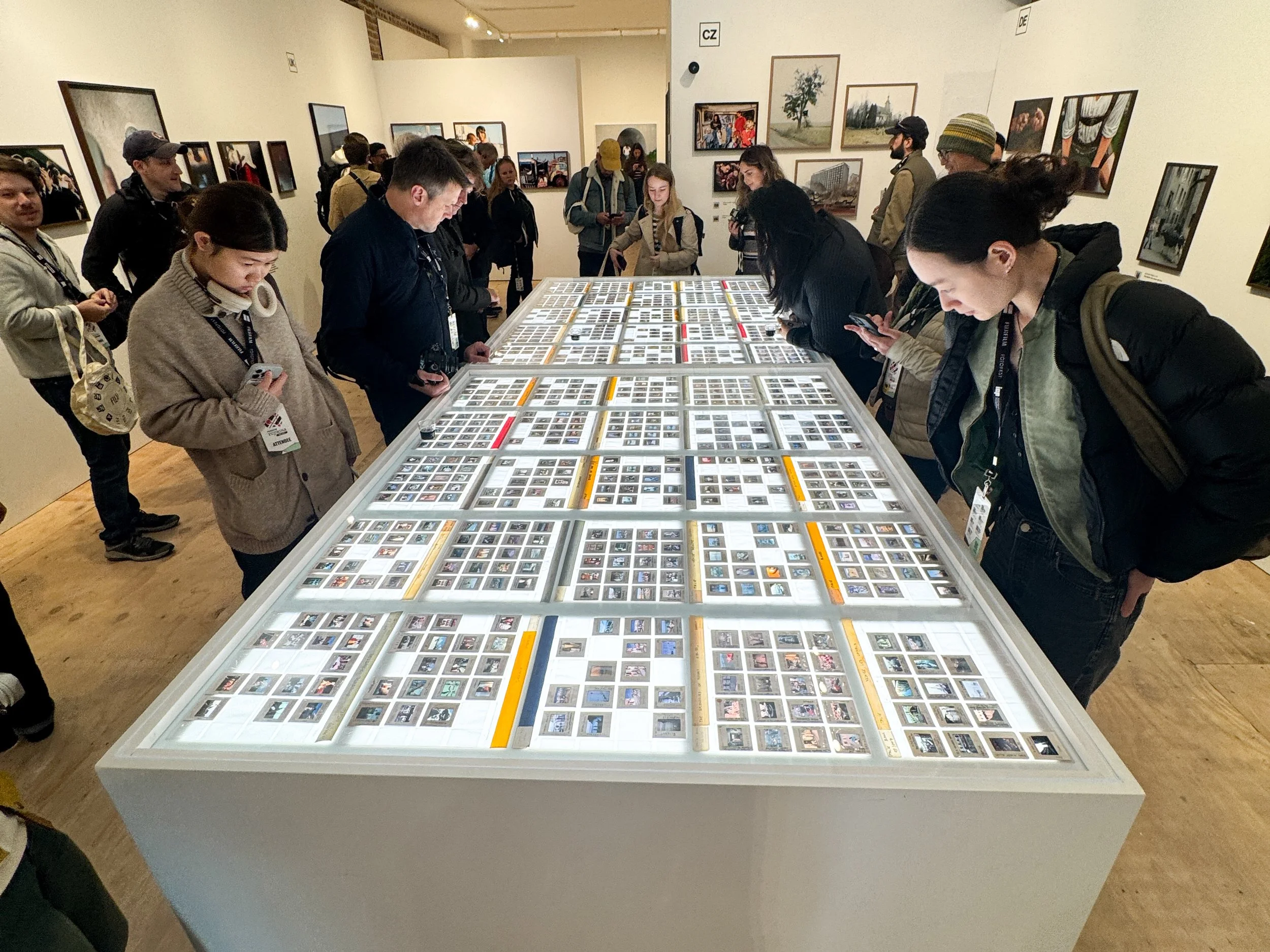 fuji-kina-1.jpg