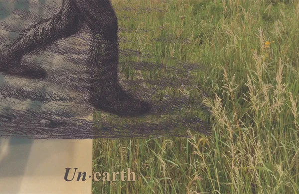 Sandra image sure.jpeg