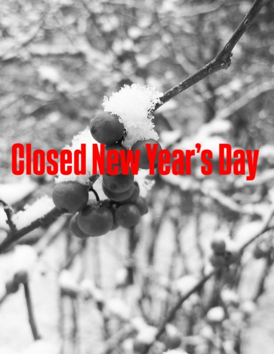 The gallery will be closed on Thursday, January 1st, for New Year&rsquo;s Day. 

We will be open normal hours on Friday and Saturday, noon to 6pm. 

Wishing everyone a very Happy New Year!