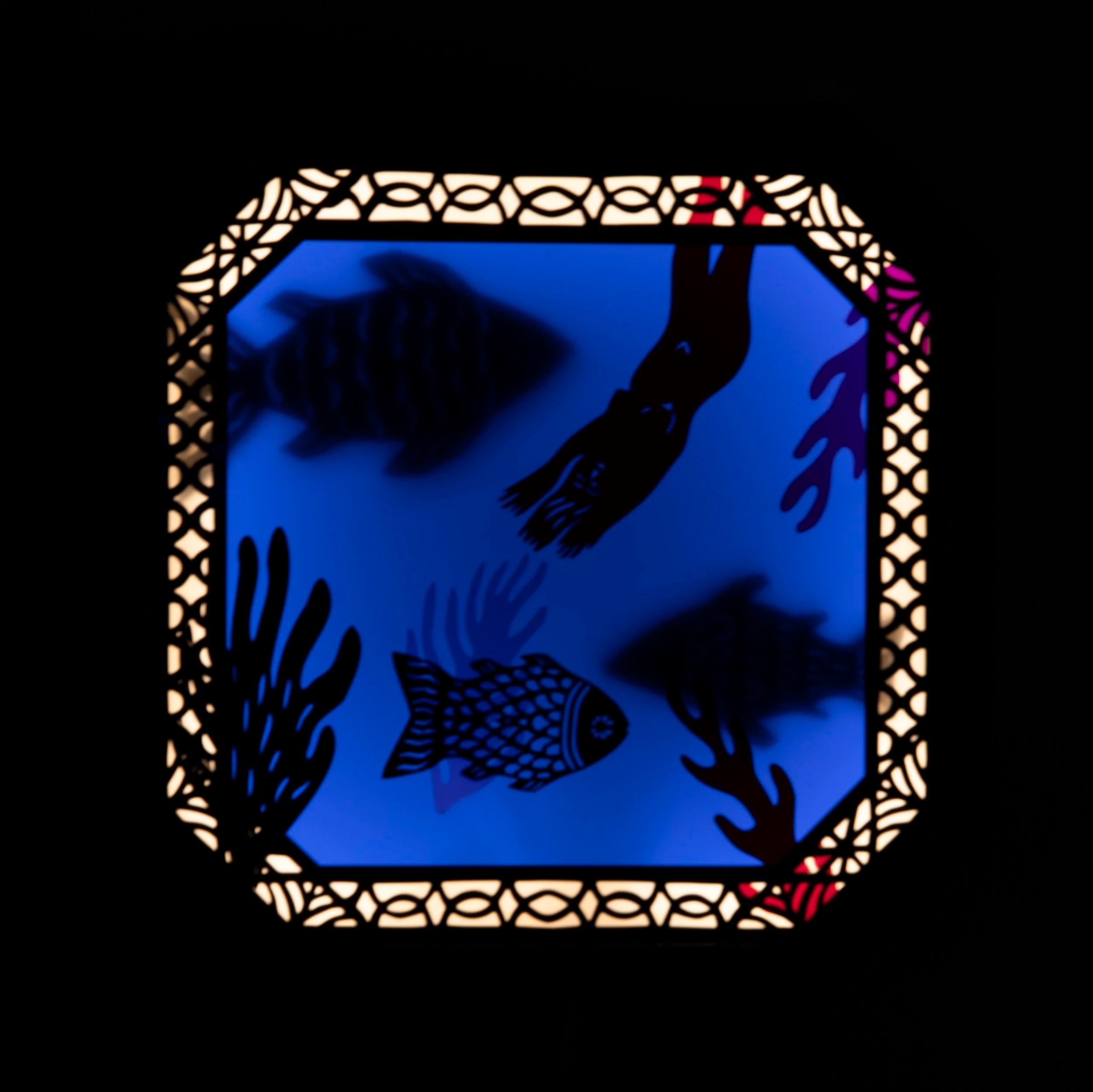 To Rejoin the Ocean by Rachel Leah Cohn