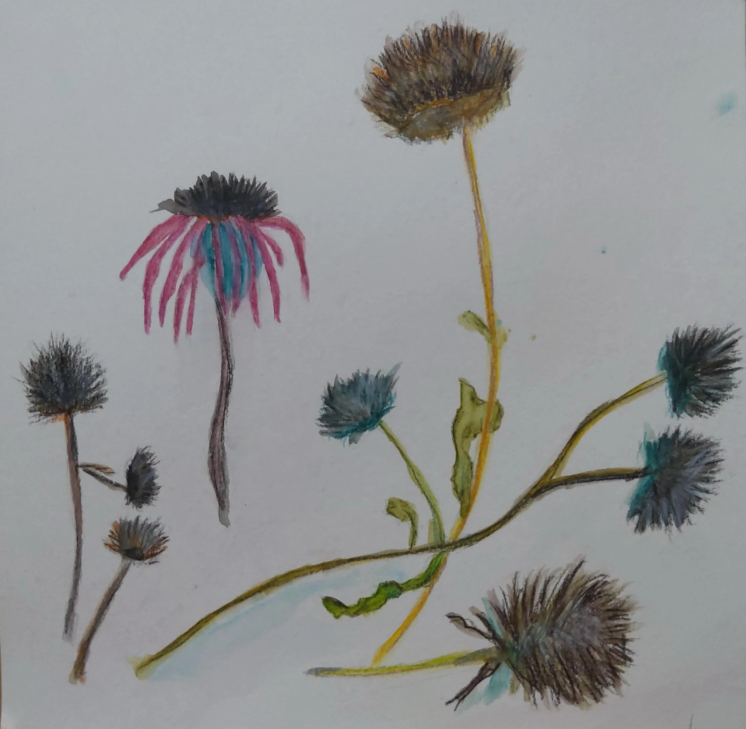 Susan Huhn-Bowles&rsquo; WARM Connection:

I was a student at the University of Minnesota, working on my BFA, when WARM was first formed.  When the membership opened to dues paying members, I joined and was an uninvolved member for many years. I made