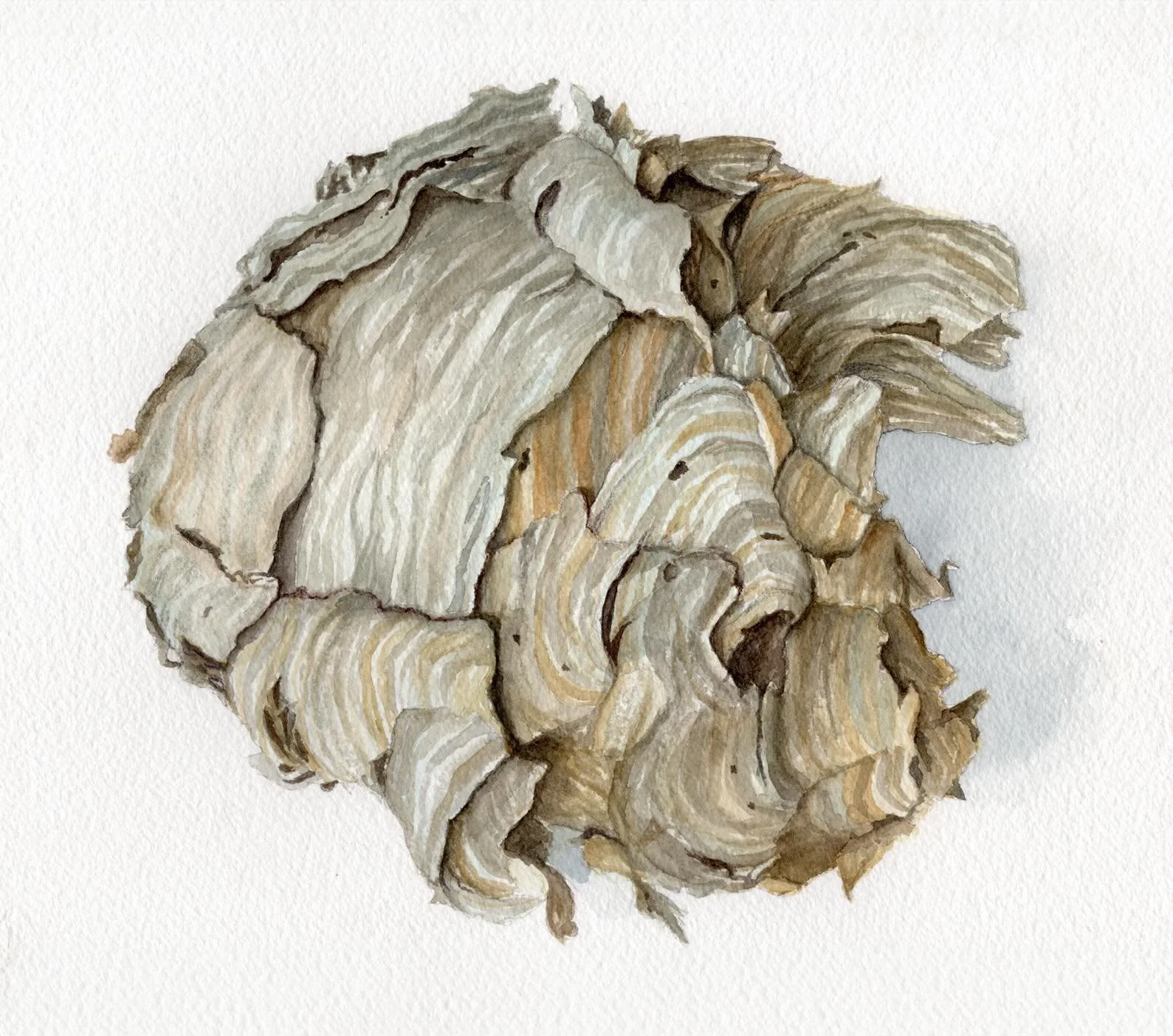 Ann Popadiuk Larson&rsquo;s WARM Connections:

I was involved with WARM as a prot&eacute;g&eacute;e in 2007-2008. My mentor was Alexandra Rozenman. I admired the dreamlike quality of her artwork. Having the guidance of how to hang shows, prepare art 
