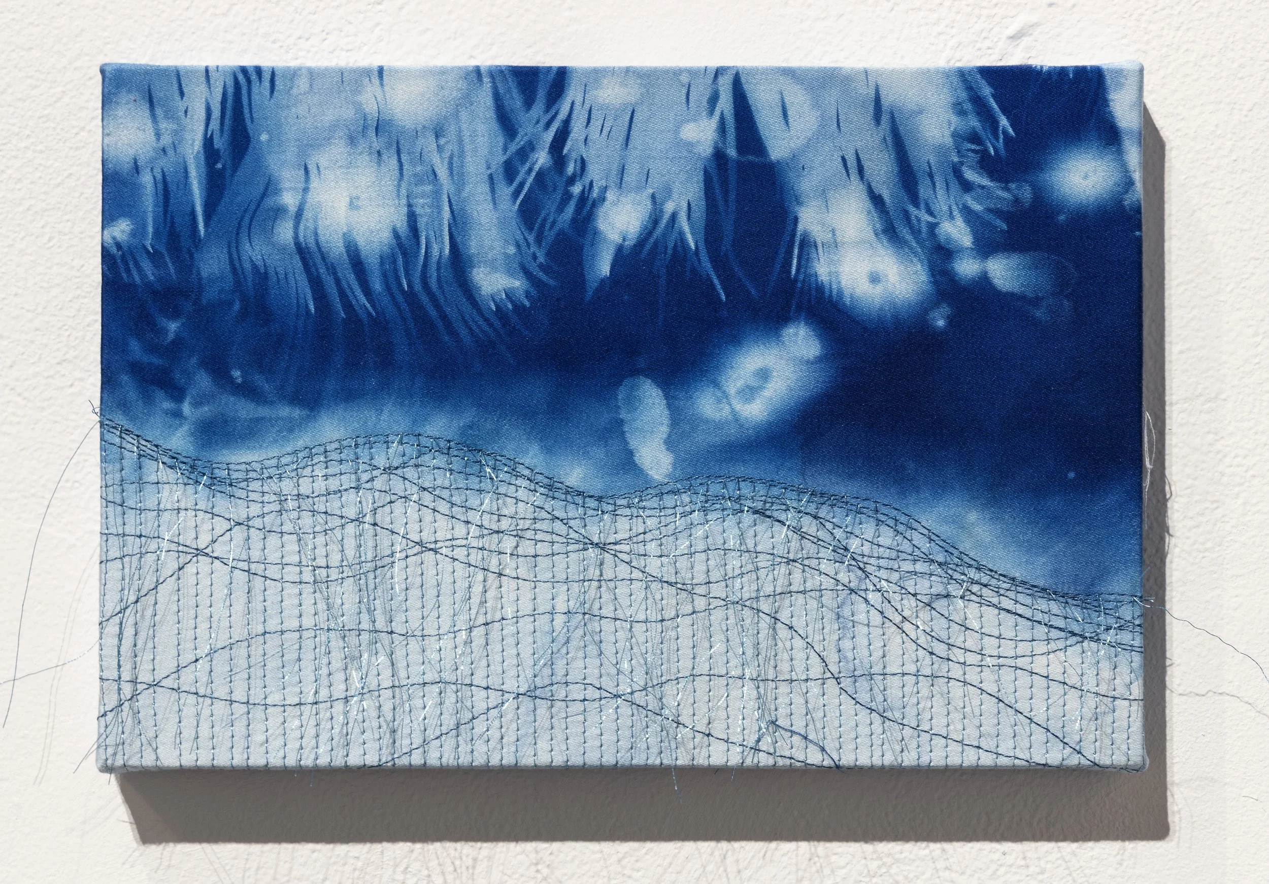 Tending Disorder: New Cyanotype Works by Michelle Westmark Wingard
