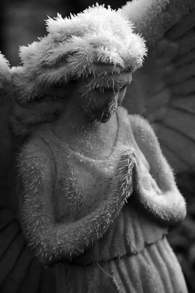 How We Knew They Were not Stone, but Angels, Falling