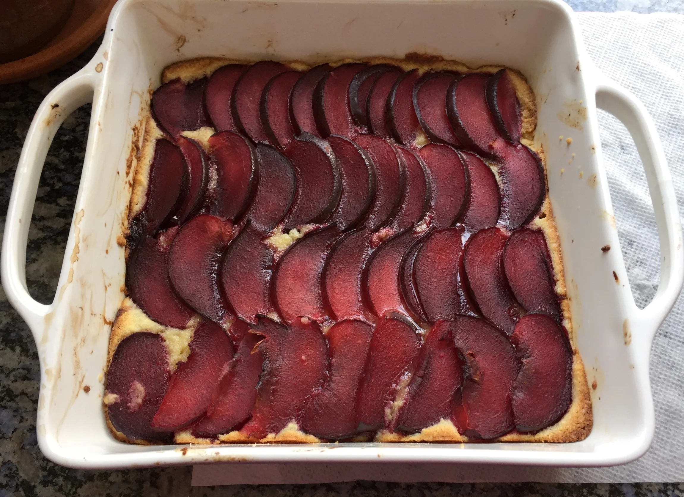 Plum Almond Tart
