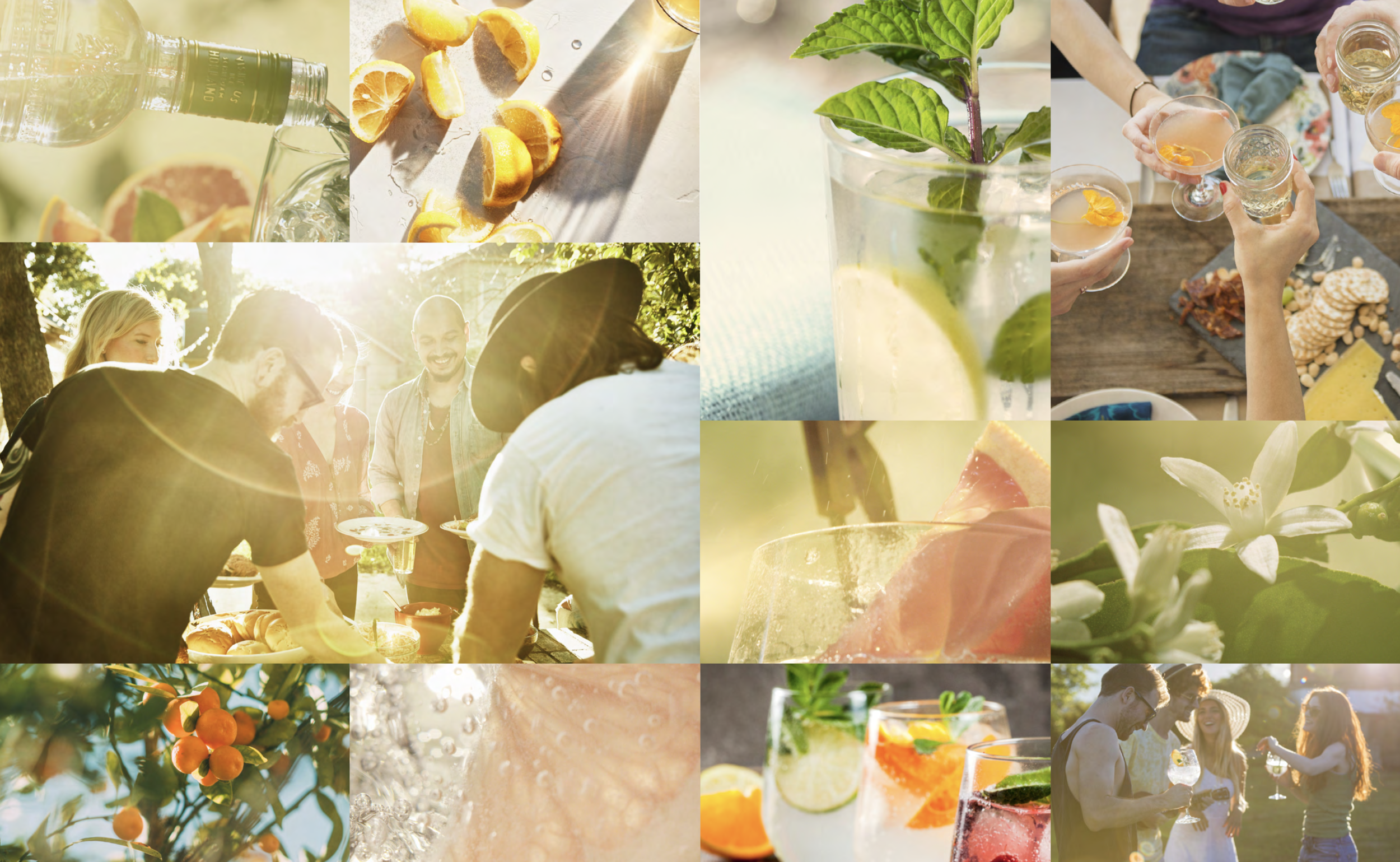 Screen Shot 2021-01-06 at 3.27.30 PM.png