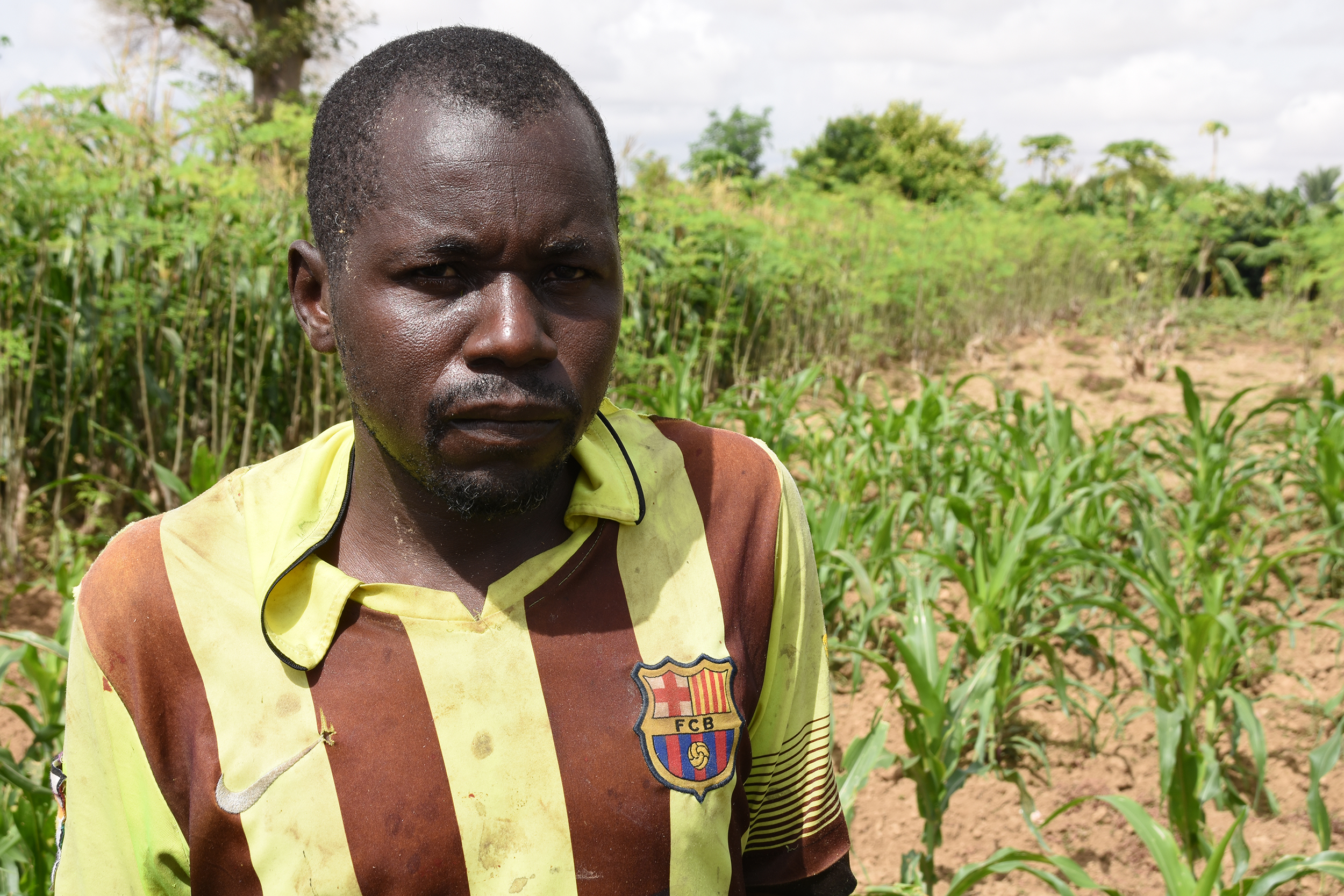  A farmer near Maradi, Niger is very worried about the fall armyworm. His maize field is infested and he has lost most of his crop. He says spraying pesticides does not have much affect. 