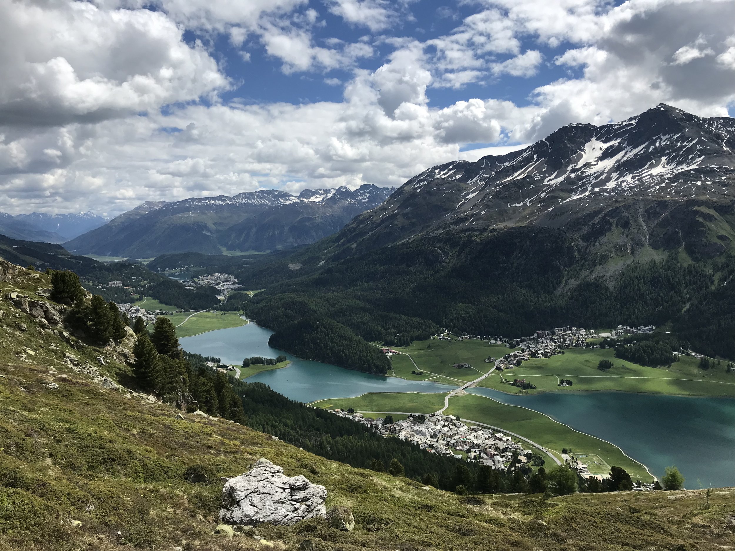 silvaplana suisse anti aging teljesen természetes ránctalanító krém