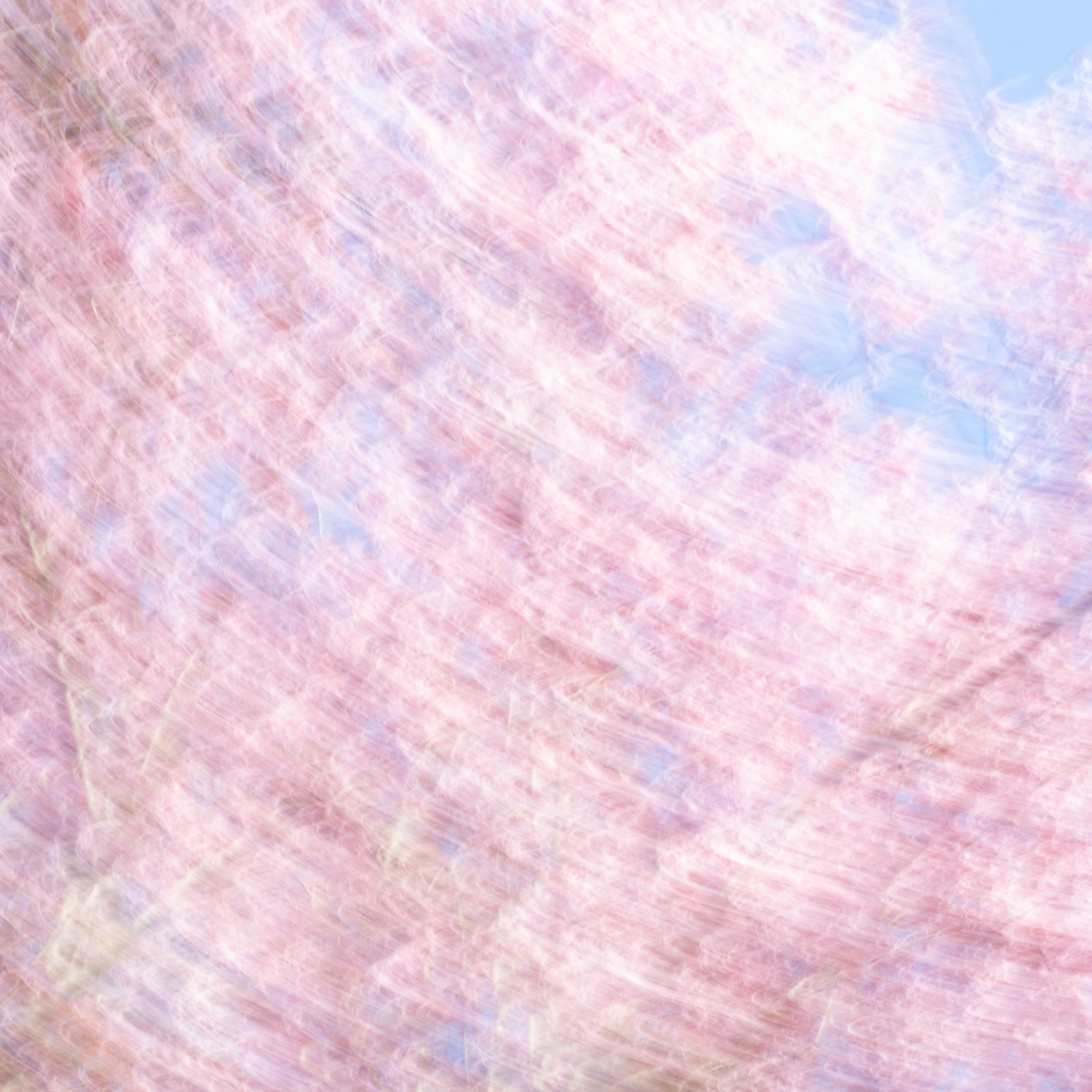 FA SINGLE 5.png