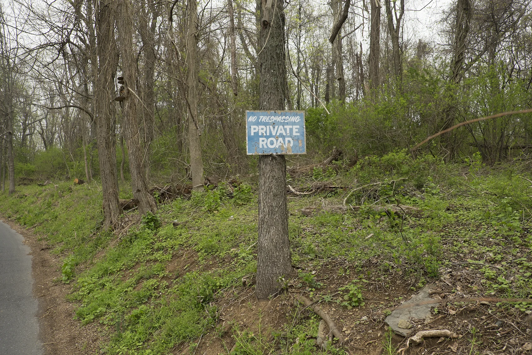 DSCF4067.jpg