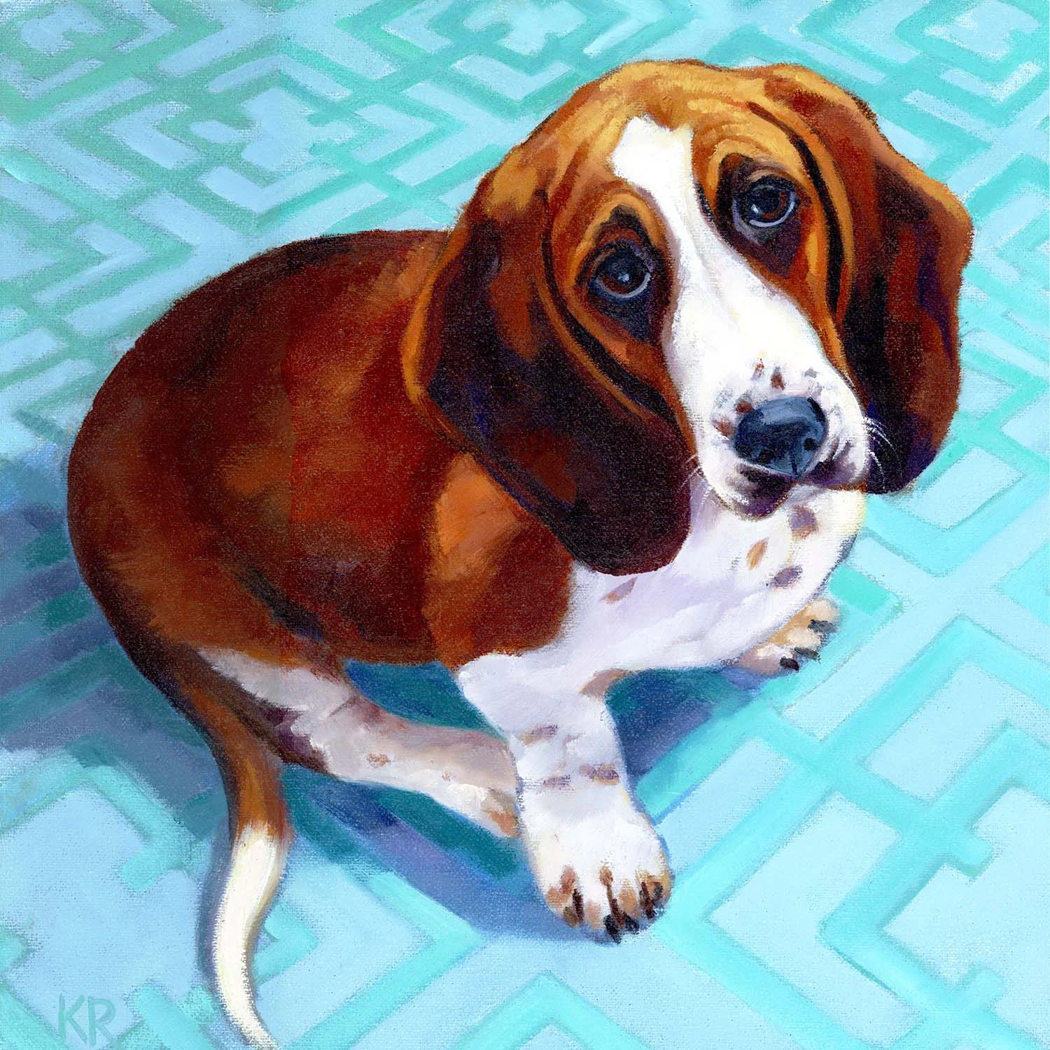 Bassett Hound