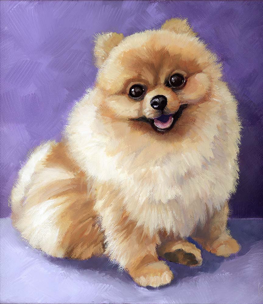 Pipa