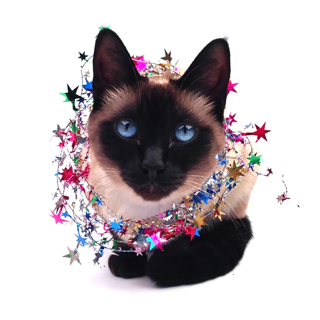 averymerrymink.jpg