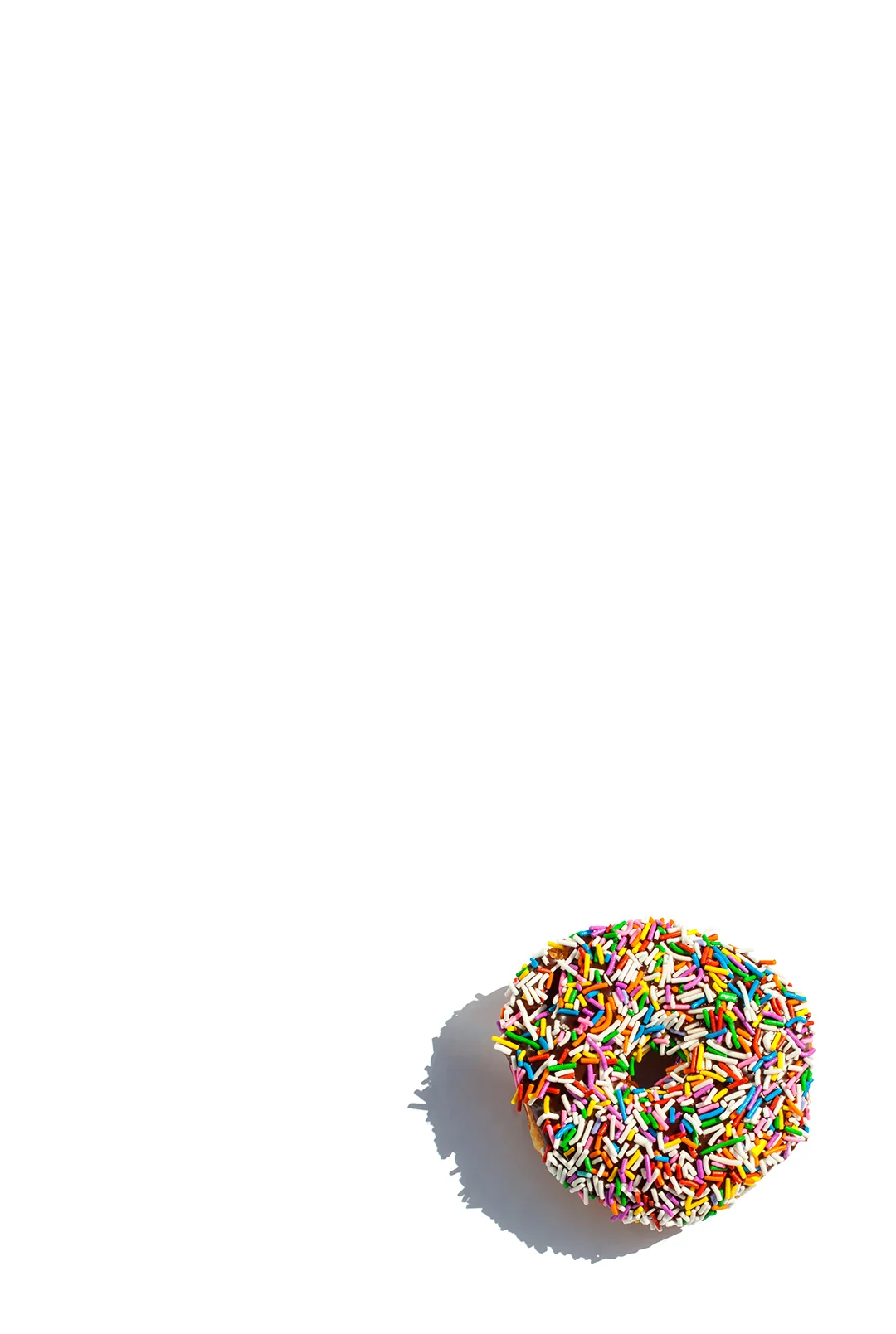 SprinkleDoughnutRightCorner_Resized.jpg