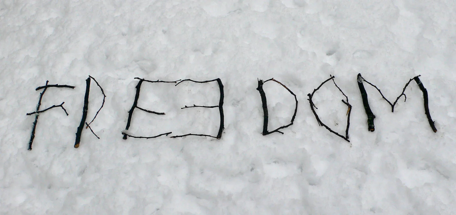 In the name of FREEDOM 14