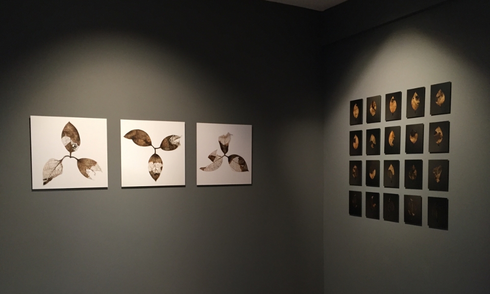 gallery view 1.jpg