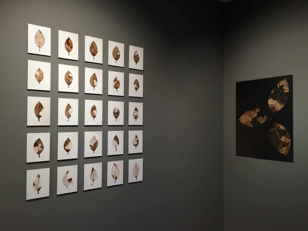 gallery view 3.jpg