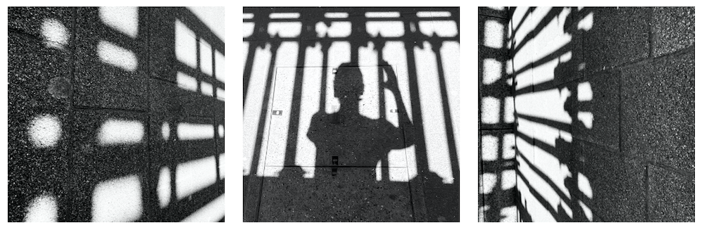 encaged triptych.png