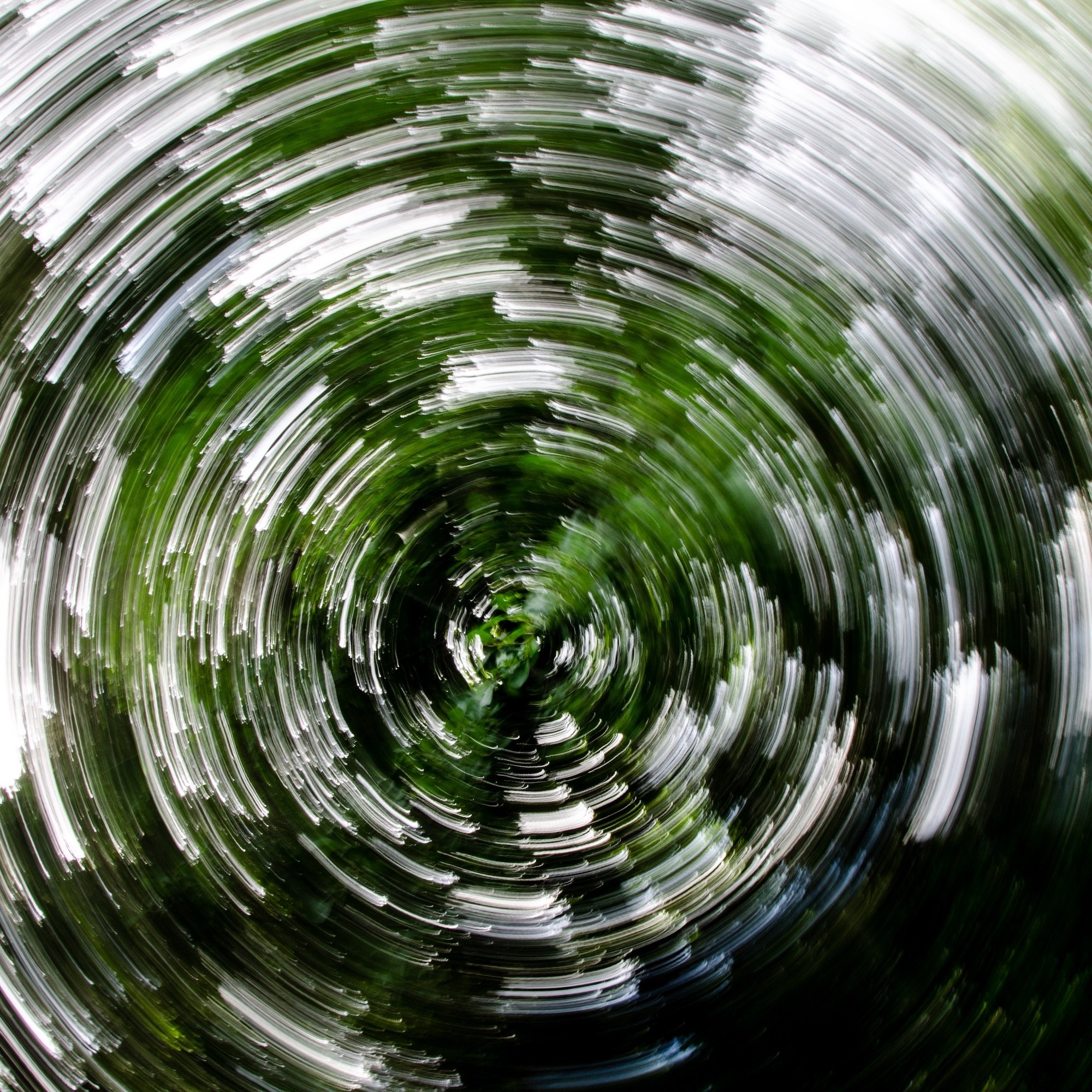Second Nature _ Jan 24 invitation.jpg