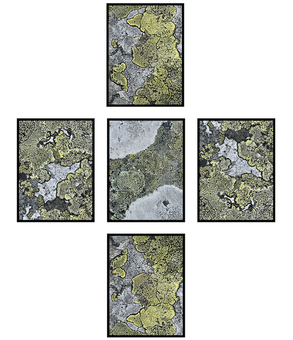 Norway _ textures 1.png