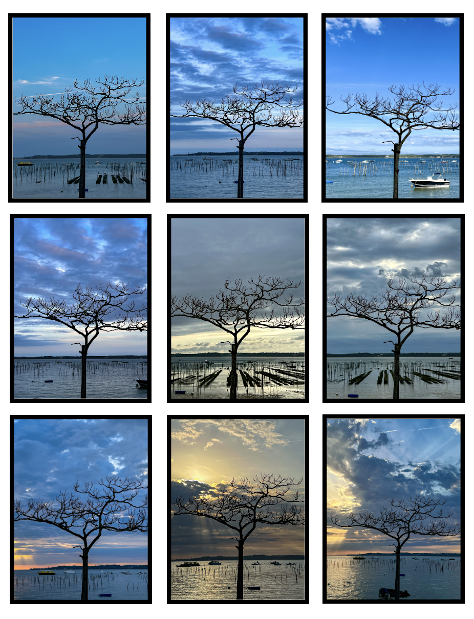 Cap Ferret