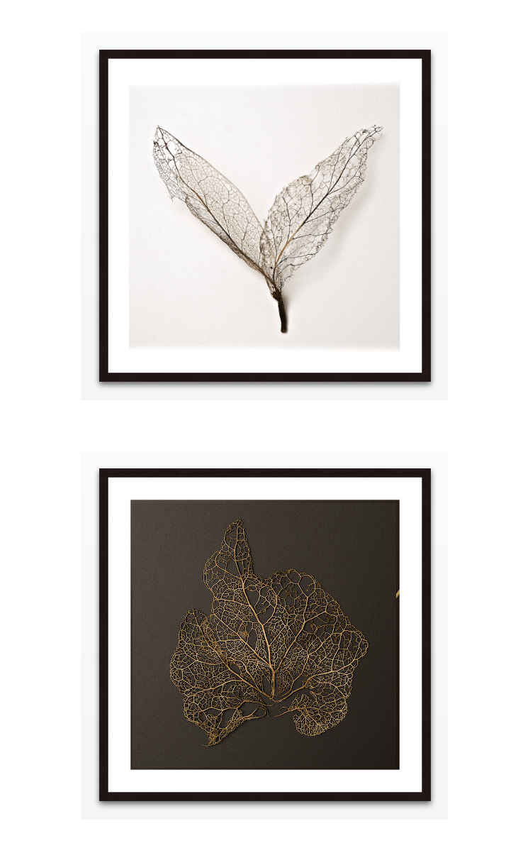 Fading into Glory other leaf diptych.png